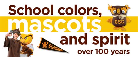 Your school's colors and mascot: