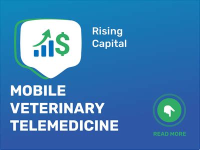 YourVetamyyy: Unlocking a New Frontier in Veterinary Telemedicine