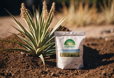 Yucca Fertilizer: A Guide to Natural Plant Nutrition