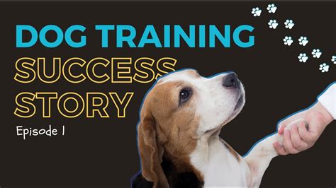 Yungningo: The Revolutionary Framework Transforming Dog Training