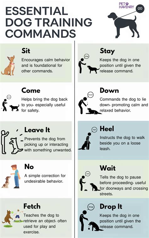 Zazazoom69: The Essential Dog Training Guide