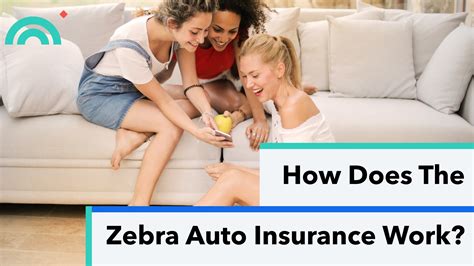 Zebra Auto Insurance: The Ultimate 2023 Savings Guide