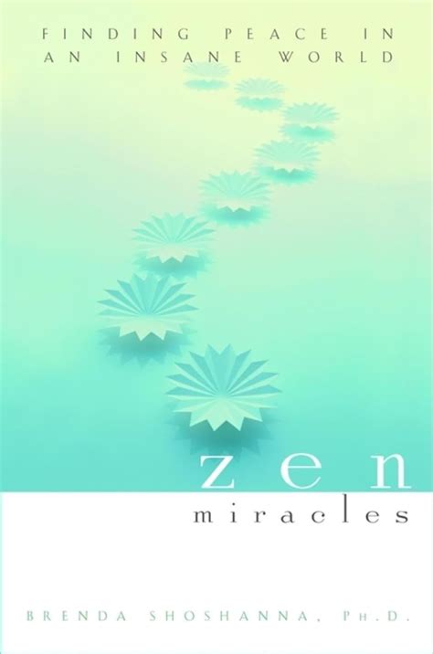 Zen Miracles Finding Peace in an Insane World Doc