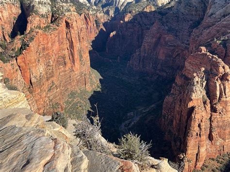 Zion Adventure Company Springdale UT: 5 Unforgettable Experiences for Adrenaline Junkies