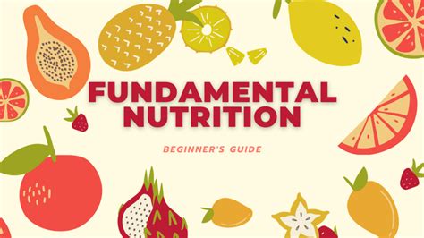 Zirkzee: The Essential Guide to Nutritional Excellence