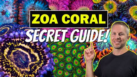 Zoa Definition: The Ultimate Guide to Understanding Animal Life