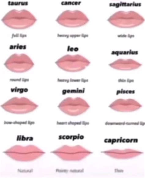 Zodiac Sign Lip Chart