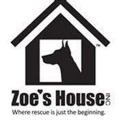 Zoe's House Rescue