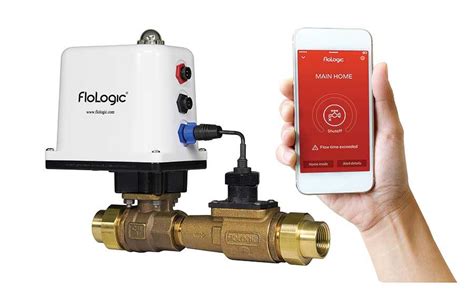 Zoe Moore's Transformative Vision: Unlocking the Leak Detection Revolution