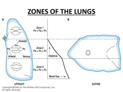 Zone 1: The Atrium