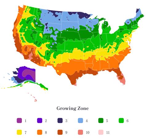 Zone 6 Fund: A Comprehensive Guide to Growing Your Wealth in USDA Hardiness Zone 6