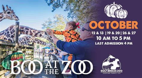 Zoo Boo Memphis 2024: Prepare for a Spooktacular Extravaganza!