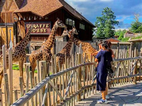 Zoo in New Jersey: Your Guide to the 5 Best Zoos in the Garden State