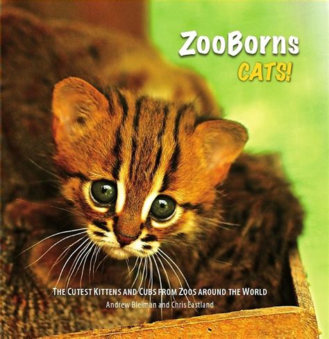 ZooBorns: Cats The Newest and Cutest Exotic Cats from Zoos around the World! Epub