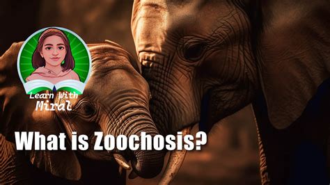 Zoochosis Mutants: The Disturbing Reality of Animal Suffering in Captivity