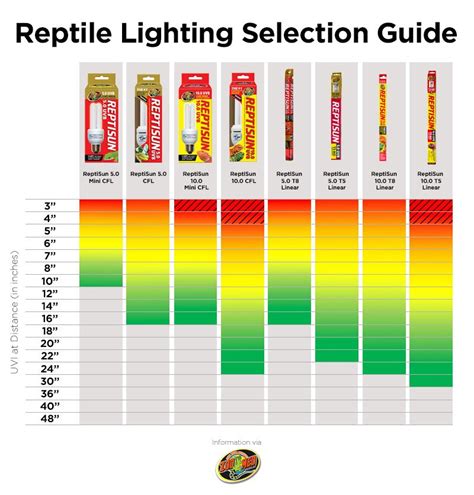 Zoomed Heat Bulb: The Ultimate Guide to Powerful and Efficient Reptile Lighting