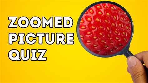 Zoomed In Picture Game Answers Reader