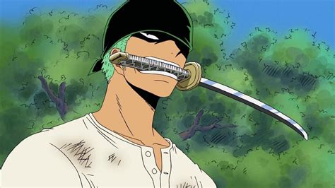 Zoro's Central Role