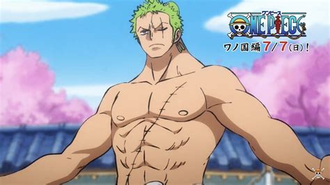 Zoro's Chest Size: A Comprehensive Analysis