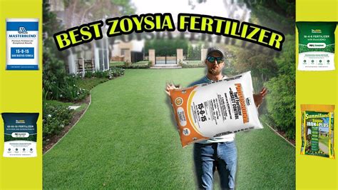 Zoysia Grass Fertilizer Schedule: A Comprehensive Guide