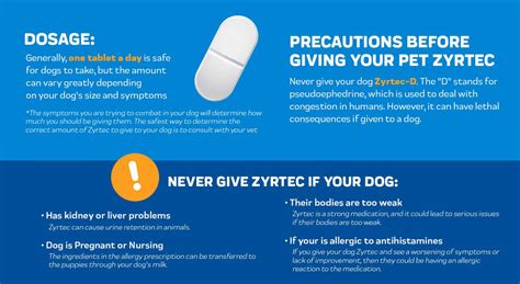 Zyrtec Dog Dosage: A Comprehensive Guide to Using Cetirizine for Canine Allergies