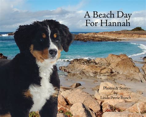 a beach day for hannah mountain dog Reader