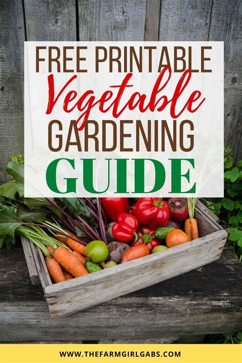 a beginners guide book to container vegetable gardening Kindle Editon