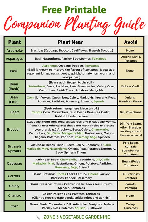 a beginners guide to companion planting companion planting vegetables flowers herbs PDF