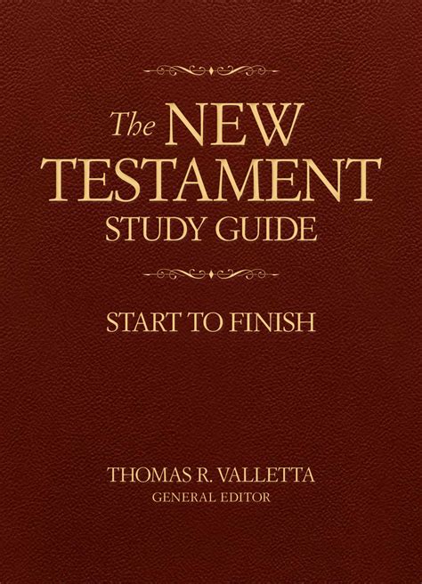 a beginners guide to the new testament Reader