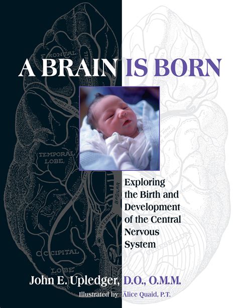 a brain is born a brain is born Kindle Editon