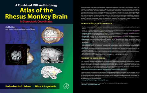 a combined mri and histology atlas of the rhesus monkey brain in stereotaxic coordinates Epub