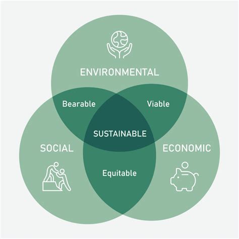 a complexity approach to sustainability Epub