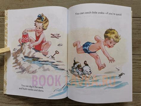 a day at the seashore little golden book PDF