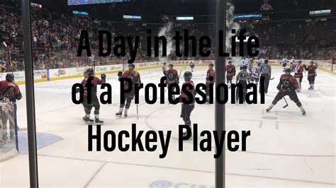 a day in the life of the national hockey league Epub