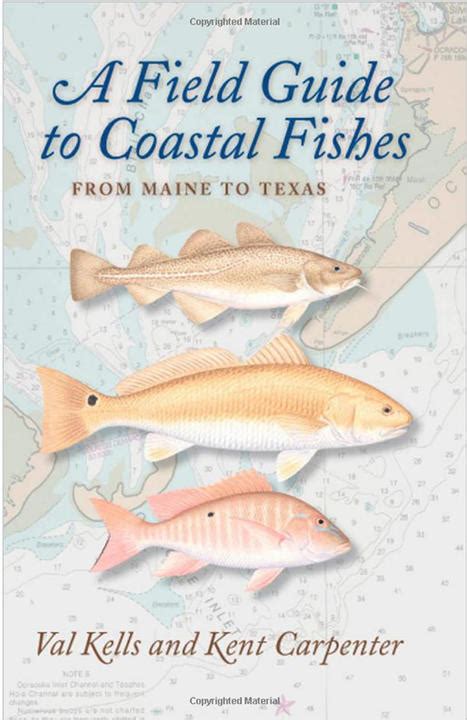 a field guide to coastal fishes from maine to texas Doc