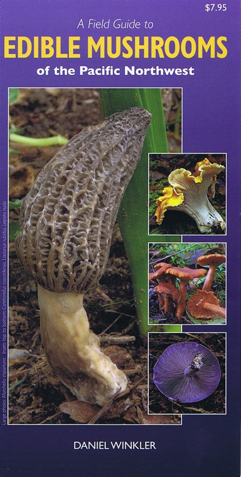 a field guide to edible mushrooms of the pacific northwest Reader