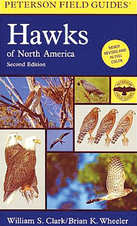 a field guide to hawks of north america peterson field guides Reader