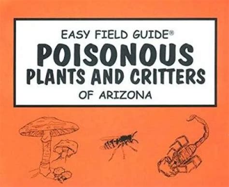 a field guide to the plants of arizona Doc