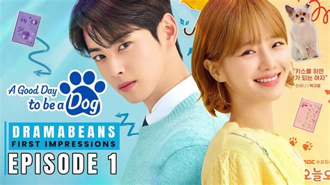 a good day to be a dog kdrama