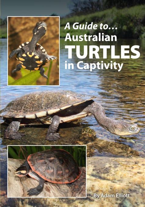 a guide to australian turtles in captivity Reader