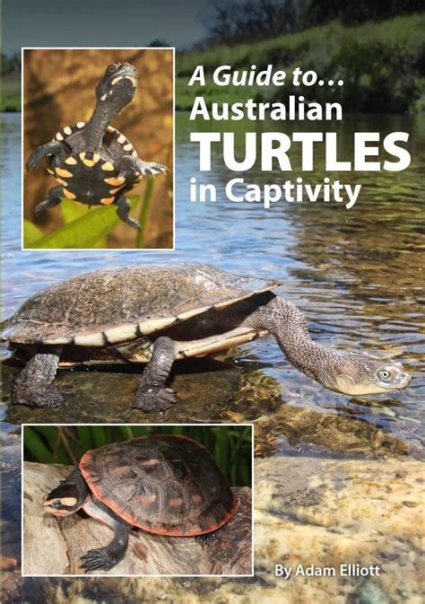 a guide to australian turtles in captivity Reader