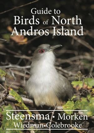 a guide to birds of north andros island Reader