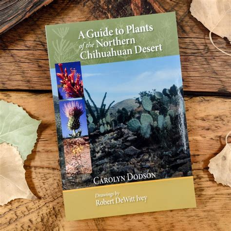 a guide to plants of the northern chihuahuan desert Epub