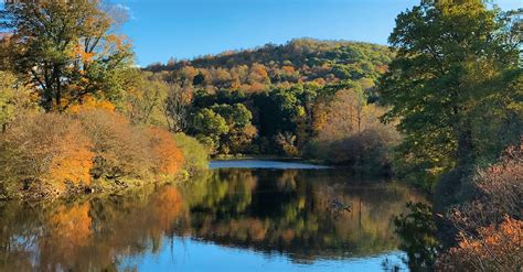 a guide to the allegheny national forest Reader