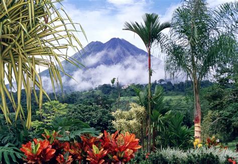 a guide to tropical plants of costa rica Reader