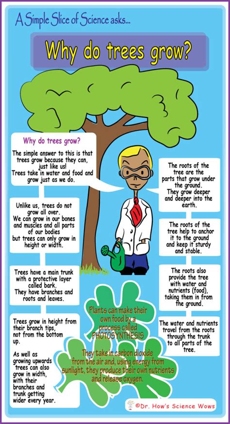 a kid s guide to how trees grow a kid s guide to how trees grow Reader