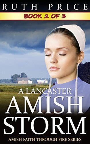 a lancaster amish storm book 2 Reader