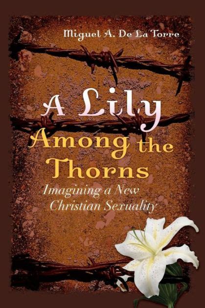 a lily among the thorns imagining a new christian sexuality PDF