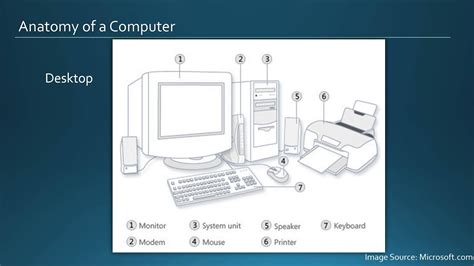 a little computers anatomy Kindle Editon