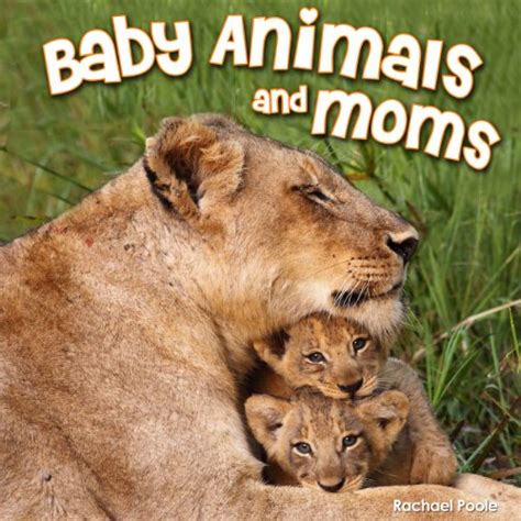 a mothers love adorable mother and baby animals picture book for kids ages 3 5 Epub